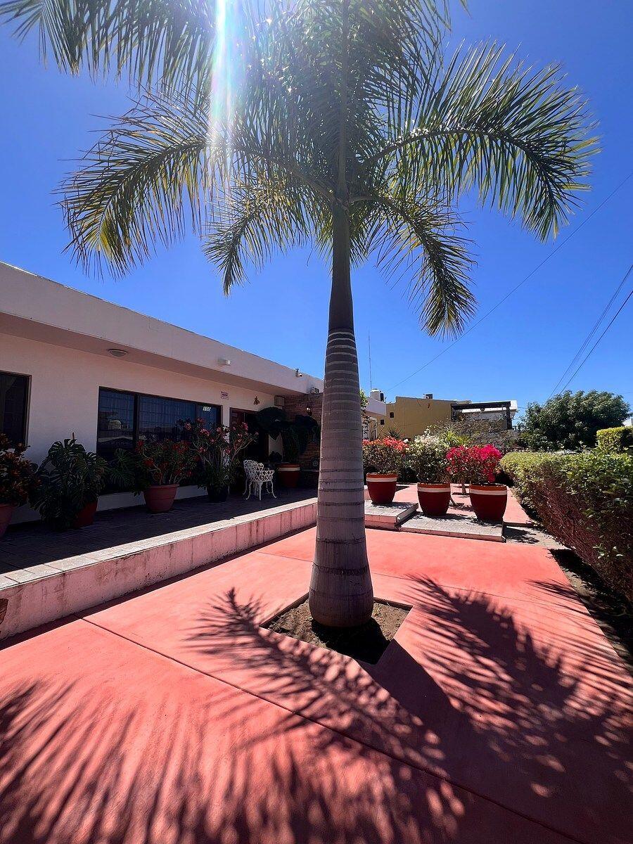 Pedregal Centro The property currently includes a functional residence with the following layout:4 bedrooms, 3 full bathrooms and 1 half bathroom, kitchen, living and dining areas, service quarters, interior garden, spacious terrace, barbecue area, utility sink, 2-car garage, and a 10,000-liter cistern.Additionally, it includes an adjacent lot, significantly enhancing its footprint and development potential.The price must be paid in mexican pesos by the amount of – Felix Ortega, La Paz, BS